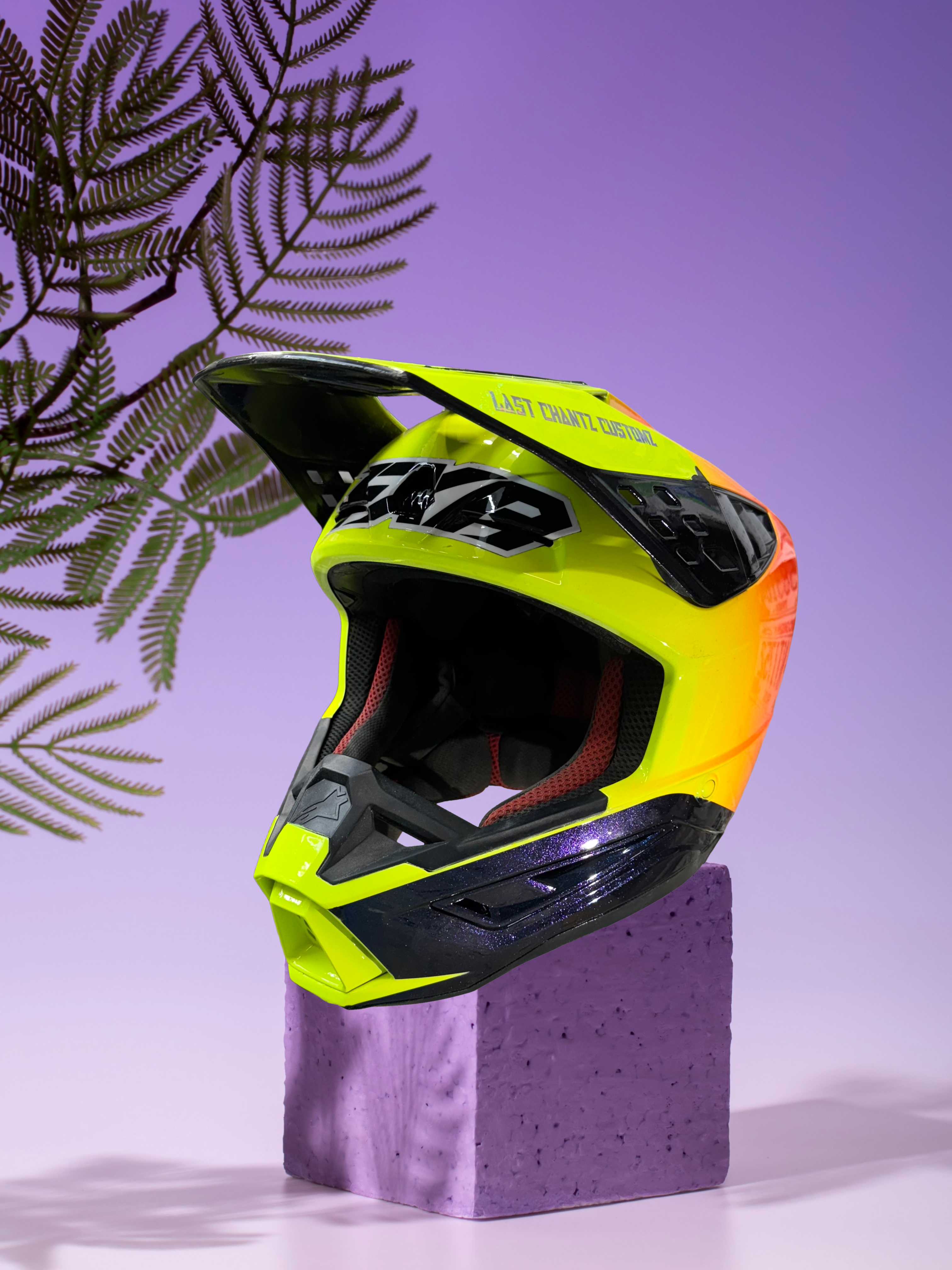 Custom Painted Helmet