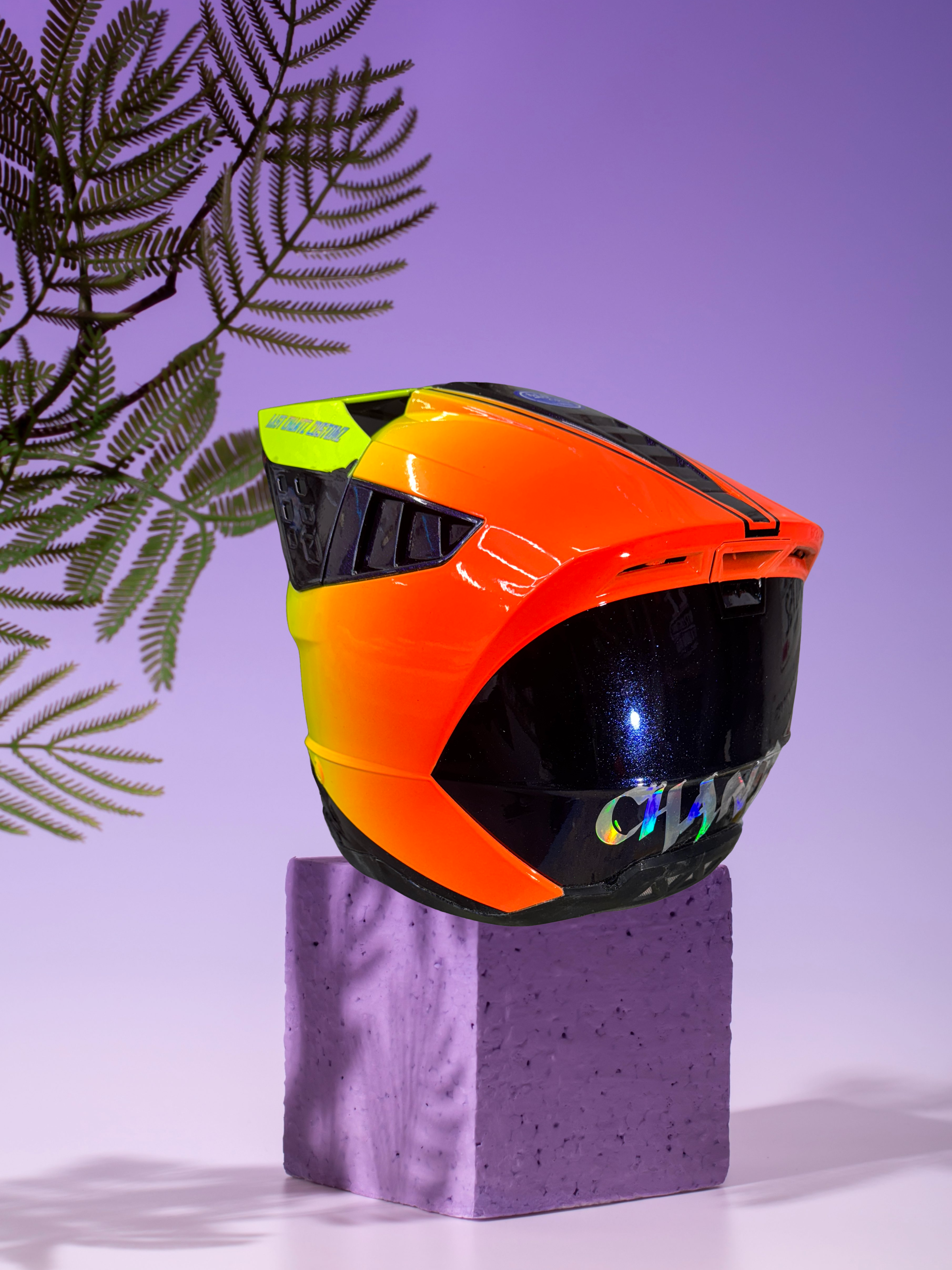 Custom Painted Helmet